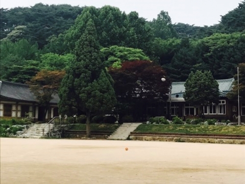 남한산초 학교숲 조성공사